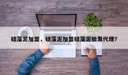 硅藻泥加盟，硅藻泥加盟硅藻泥批发代理？