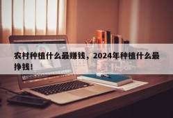 农村种植什么最赚钱，2024年种植什么最挣钱！