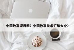 中国致富项目网？中国致富技术汇编大全？