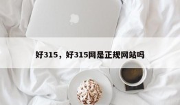 好315，好315网是正规网站吗