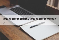 现在加盟什么最挣钱，现在加盟什么比较火?？