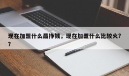 现在加盟什么最挣钱，现在加盟什么比较火?？