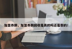 加盟养鹅，加盟养鹅回收是真的吗还是假的！