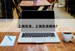 上海东讯，上海东讯喇叭？