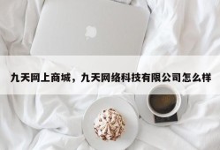 九天网上商城，九天网络科技有限公司怎么样