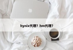 hynix代理？hm代理？