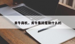 青牛商机，青牛集团是做什么的